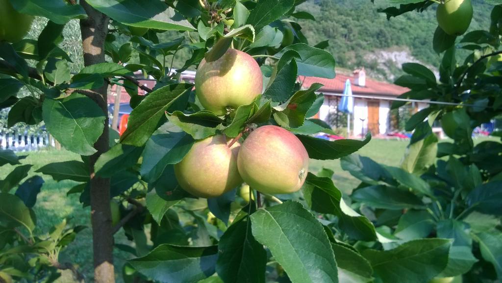 Agriturismo Trefrutti Арко Экстерьер фото